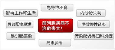 明珠浦兰斯——完美解除男性“腺”制