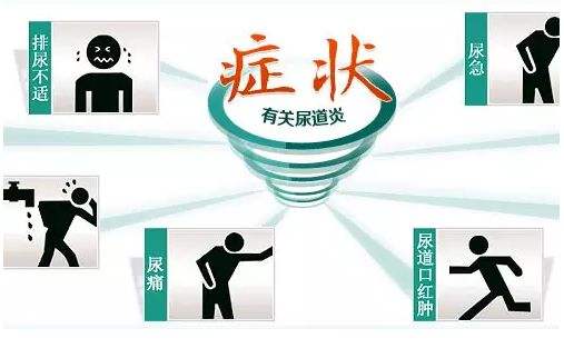 明珠三项检查，揪出尿道炎“真凶”