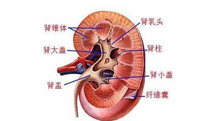 肾病综合征的危害是什么？