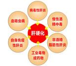 如何预防肝硬化并发症