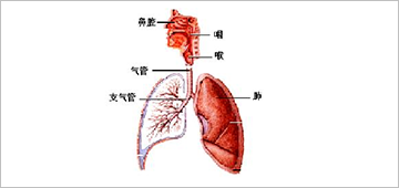 大叶性肺炎如何治疗