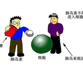 糖尿病患者能否享有正常人的寿命