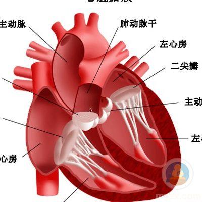 心脏病的症状是什么?
